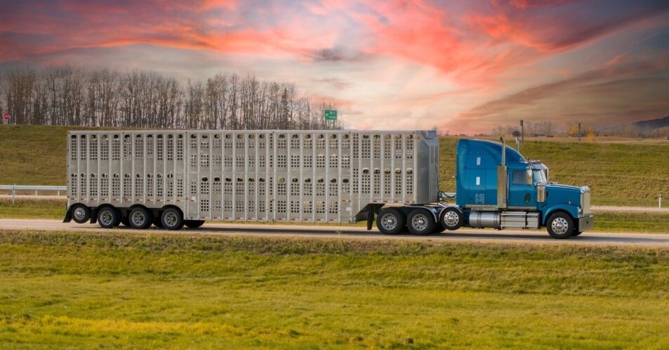 Livestock hauling-ag exemption