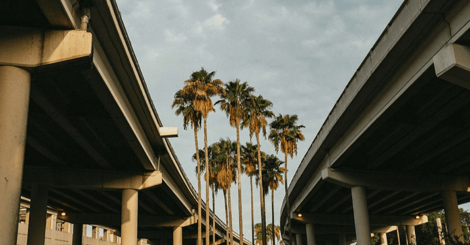Florida Trucking HOS Regulations – Compliance Guide Elevated highways with palm trees in Florida, representing trucking routes and compliance regulations.